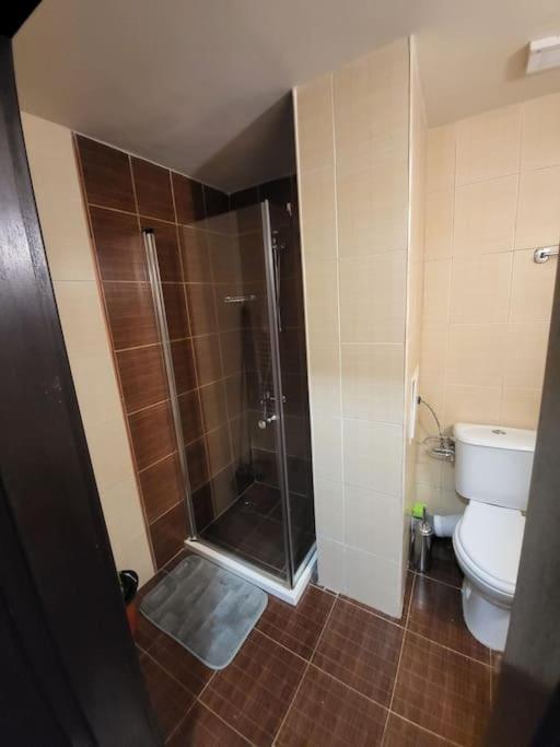 شقة Bansko Royal Towers 253 المظهر الخارجي الصورة